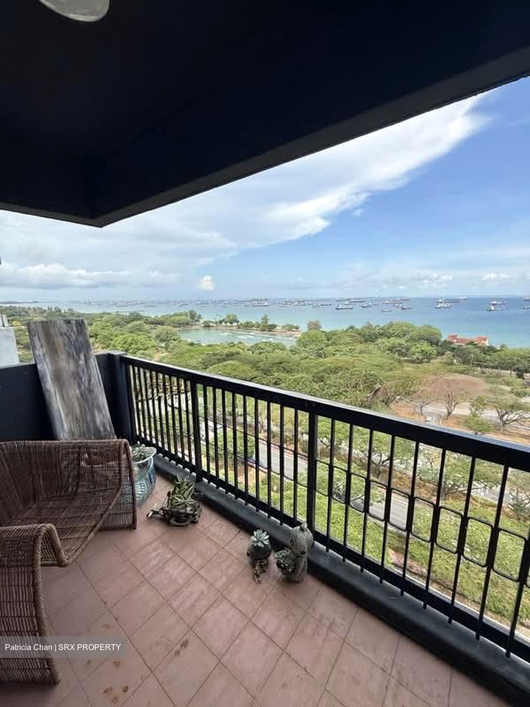 Laguna Park (D15), Apartment #551214901